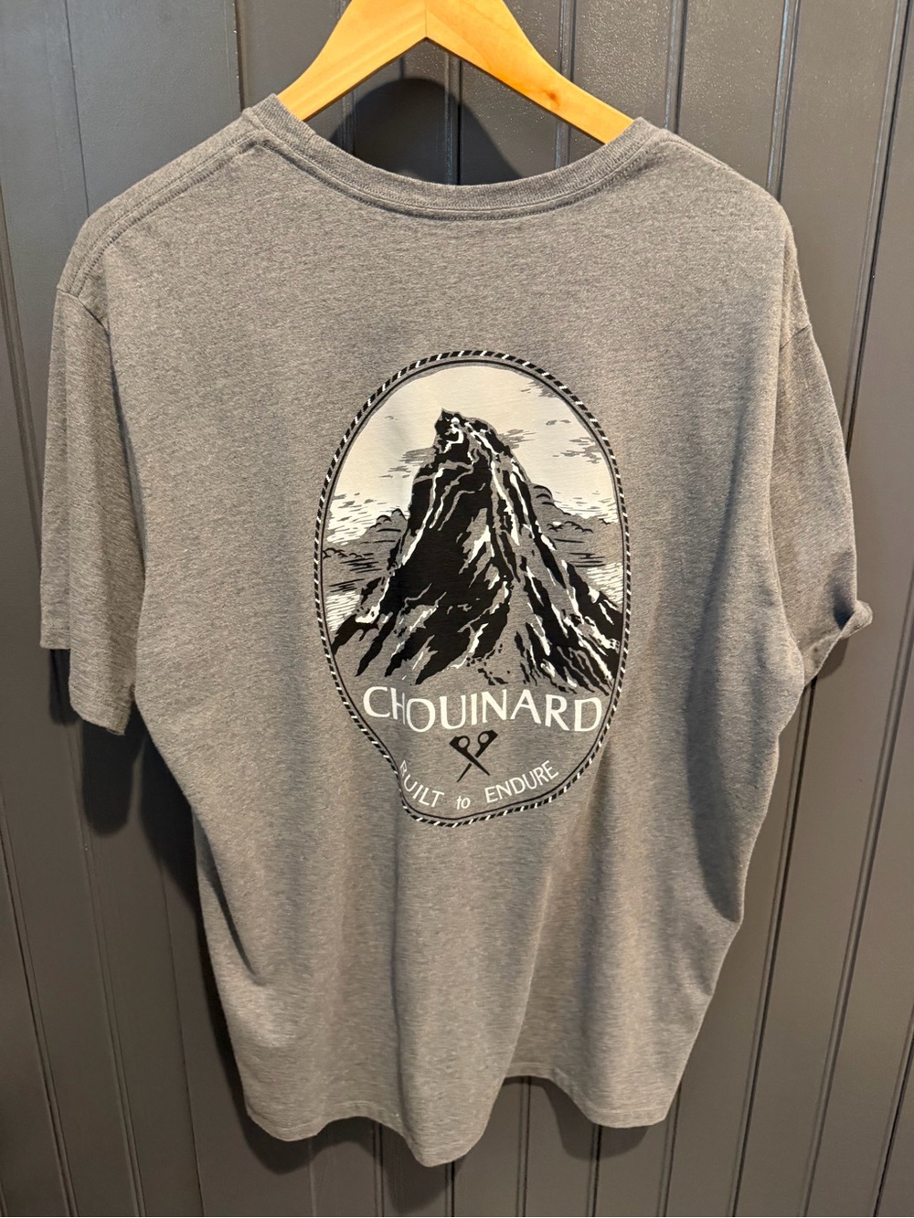 Patagonia Grey Mountain Graphic Short Sleeve Tee